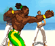 Capoeira Fighter 3