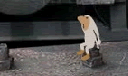http://www.bubblebox.com/img/monsterbox/99.gif