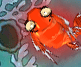 Zippy Fish