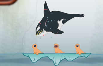 Killer Whale - screenshot Killer Whale