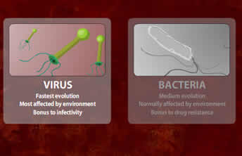 Pandemic II - screenshot 2 Pandemic II