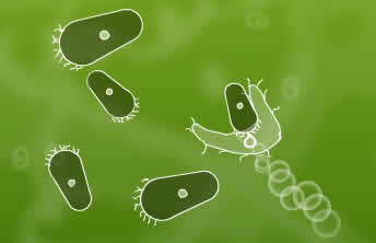 Microbe Kombat - screenshot Microbe Kombat