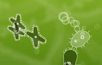 Microbe Kombat - screenshot 2 Microbe Kombat