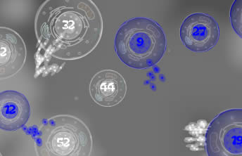 Phage Wars 2 - screenshot Phage Wars 2