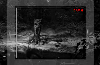 The Cabin - screenshot The Cabin