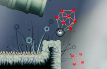 Huje Adventure - screenshot Huje Adventure