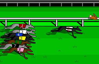 Greyhound Racer - screenshot Greyhound Racer
