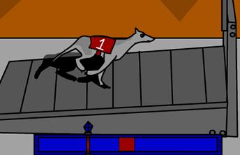 Greyhound Racer - screenshot 2 Greyhound Racer
