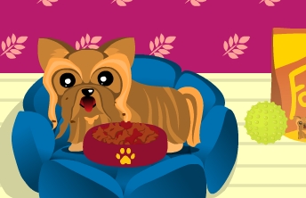 Dog Breeder Contest - screenshot Dog Breeder Contest
