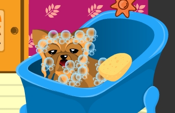 Dog Breeder Contest - screenshot 2 Dog Breeder Contest