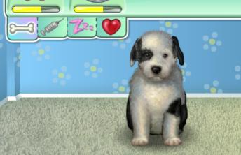 Virtual Puppy - screenshot Virtual Puppy