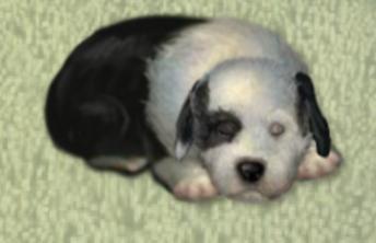 Virtual Puppy - screenshot 2 Virtual Puppy