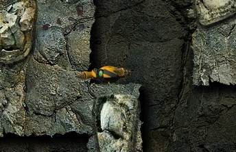 Glean - screenshot 2 Glean