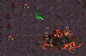 Starcraft 2008 - screenshot 2 Starcraft 2008