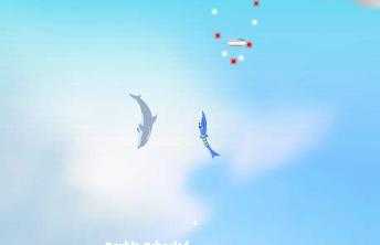Dolphin Olympics 2 - screenshot 2 Dolphin Olympics 2