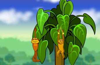 Spider Monkey - screenshot 2 Spider Monkey